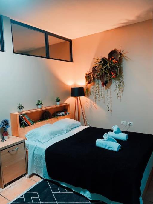 City Central Amazona Appartment Τίρανα Εξωτερικό φωτογραφία